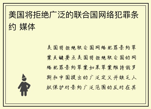 美国将拒绝广泛的联合国网络犯罪条约 媒体
