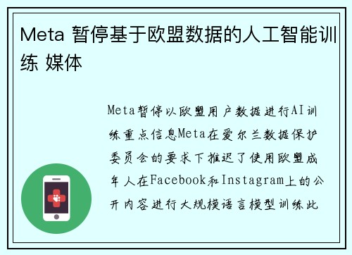 Meta 暂停基于欧盟数据的人工智能训练 媒体
