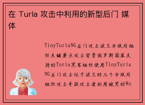 在 Turla 攻击中利用的新型后门 媒体